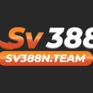 sv388n team